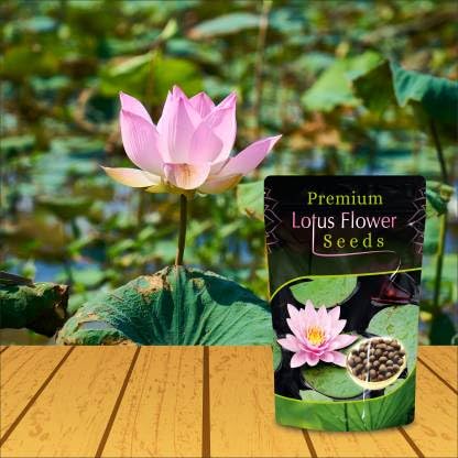17312