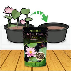 17312